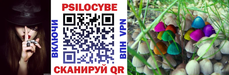 Галлюциногенные грибы Psilocybe Петухово