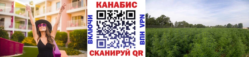 Марихуана план  где продают наркотики  Петухово 